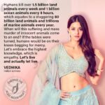 Vedhika Instagram – Indian actress and outspoken animal rights advocate, @vedhika4u, has endorsed the call for a global @PlantBasedTreaty to help end the suffering and slaughter of trillions of land and ocean animals each year. 

She calls on people to embrace empathy for ALL sentient beings and actually let them LIVE. 

Join Vedhika in signing the Plant Based Treaty at PlantBasedTreaty.org (link in bio).