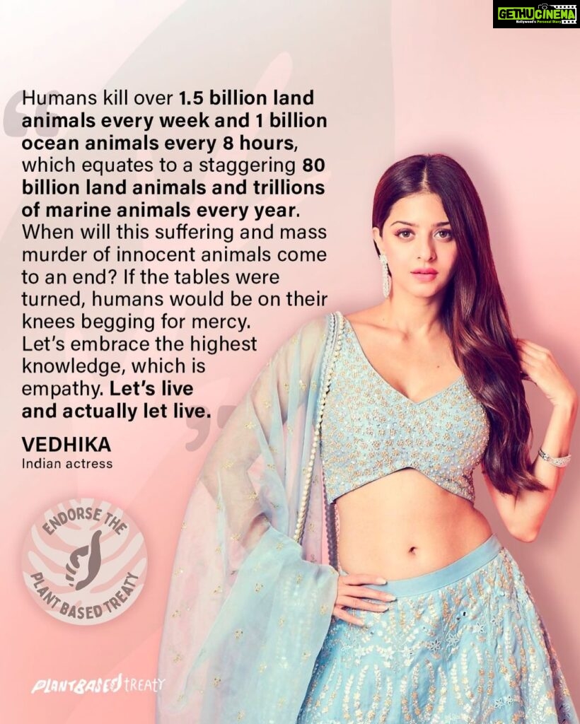 Vedhika Instagram - Indian actress and outspoken animal rights advocate, @vedhika4u, has endorsed the call for a global @PlantBasedTreaty to help end the suffering and slaughter of trillions of land and ocean animals each year. She calls on people to embrace empathy for ALL sentient beings and actually let them LIVE. Join Vedhika in signing the Plant Based Treaty at PlantBasedTreaty.org (link in bio).