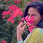 Veena Malik Instagram - #🌸🌸🌸 #☘☘🍀🍀🍀🌹🌹🍂🍂🍂🌼🌼🌼🌾🌾🌵🌸🌸🌺🌺🌺🌿🌿🍃🍃🍃🎄🌻🌻🎋🎋💐💐💐💐💐🌼🌼🌾🌾🌷🍁🍁🍁🌷🌷🌷🌹🌹🍂 #Veenamalik