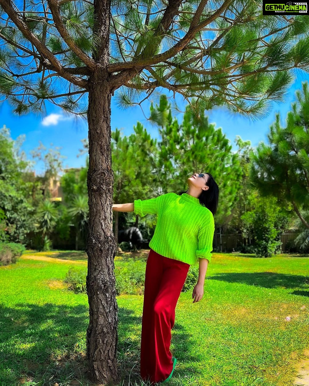 Veena Malik - 6.8K Likes - Most Liked Instagram Photos