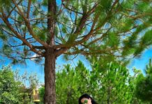 Veena Malik Instagram - #mosam😍 #veenamalik #vinnature #vinista #👒👑