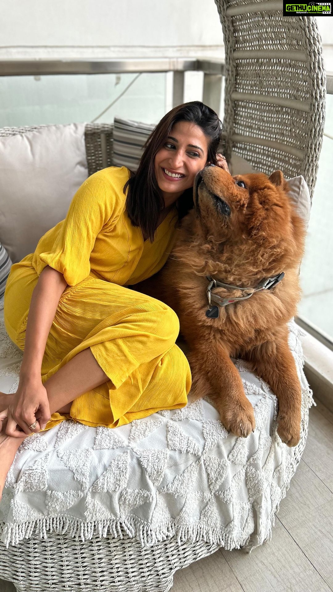 Aahana Kumra Instagram - Unconditional love looks like thisπΎπΆππ Thank you my πΎ paw-fect partners in love ππ«‘πΆπΎβοΈ @cristothechow @felixnotacat πΎπ«‘ @nikhil_._arora @adityakochh @wheres_my_biryani ππΆπ― #happyinternationaldogday #internationaldogday . . . . #dog #dogsofinstagram #dogstagram #furryfriends #furry #furries #dog #doglife #dogs #aahanakumra