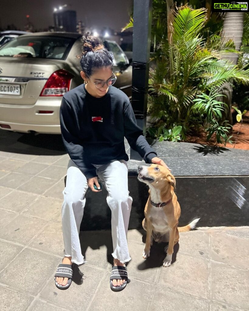 Aakanksha Singh Instagram - From jogging together in 2021 to strolling and chilling together yesterday.. we have come a long way HASMUKH 🤓❤️ Love doesn’t need language.. LOVE is the language 🥰 #adoptdontshop #theyarelove #dogsofinstagram