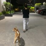 Aakanksha Singh Instagram – From jogging together in 2021 to strolling and chilling together yesterday.. we have come a long way HASMUKH 🤓❤️ 
 Love doesn’t need language.. LOVE is the language 🥰

#adoptdontshop #theyarelove #dogsofinstagram