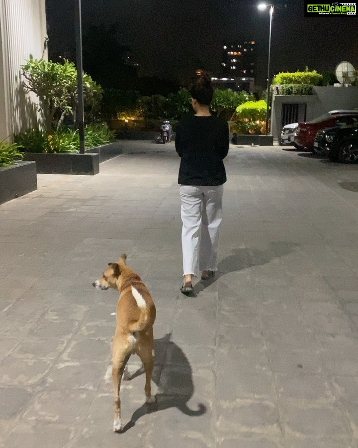 Aakanksha Singh Instagram - From jogging together in 2021 to strolling and chilling together yesterday.. we have come a long way HASMUKH 🤓❤️ Love doesn’t need language.. LOVE is the language 🥰 #adoptdontshop #theyarelove #dogsofinstagram