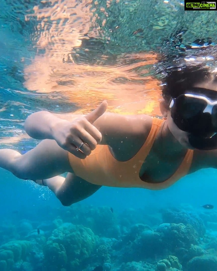 Aakanksha Singh Instagram - The ocean is like a big blue heart that connects all living creatures. We must protect it for the sake of our own survival~ Eugenie Clark #happyworldoceansday 🌊🐠🐬🌅🤿💙