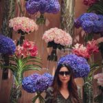 Aarthi Instagram - I really lilac you 💟