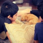 Aarthi Instagram - As a mom, I’m not perfect. I made mistakes. I forget things. I lose my cool. And some days I go a little crazy. But it’s ok. Because in the end, No one could ever love my kids the way I do. . . . . #mothersdayiseveryday #motherofboys #dogmom 📸 @jayamravi_official