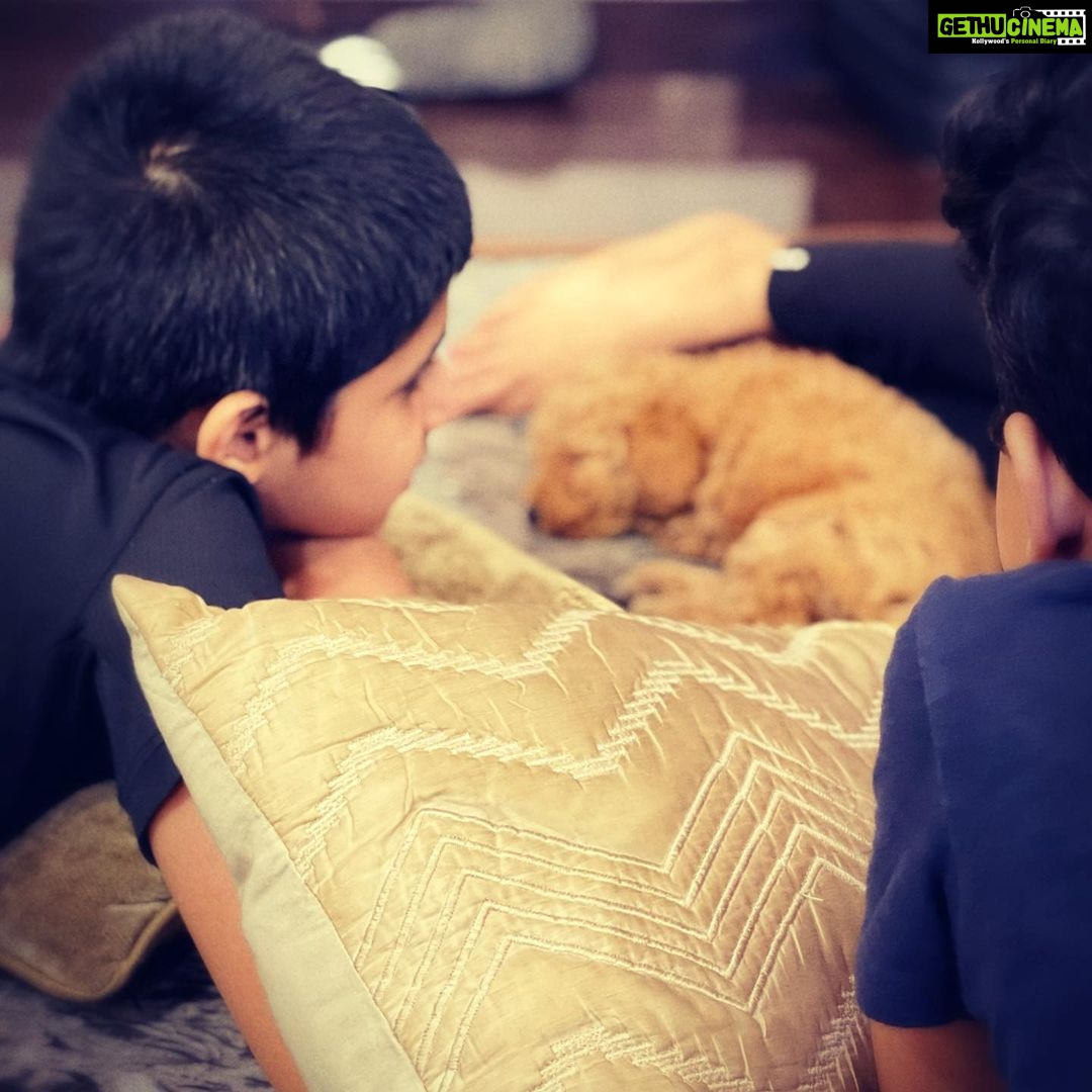 Aarthi Instagram - As a mom, I’m not perfect. I made mistakes. I forget things. I lose my cool. And some days I go a little crazy. But it’s ok. Because in the end, No one could ever love my kids the way I do. . . . . #mothersdayiseveryday #motherofboys #dogmom 📸 @jayamravi_official