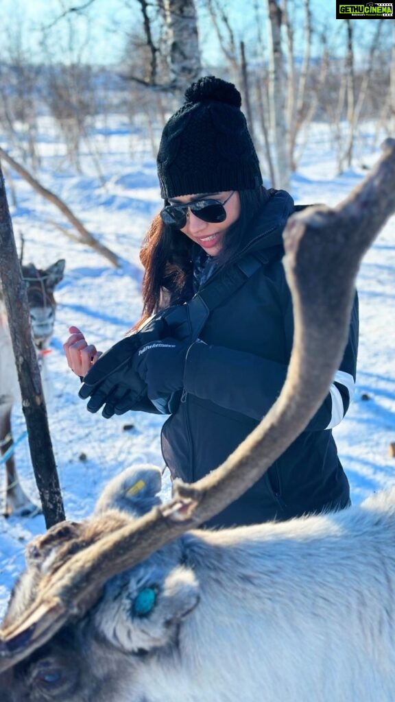 Aarthi Instagram - Day out with the reindeers 🦌🤎 . . . . #visitfinland #laplandlove #vacay2023 #reindeerfarm #samifinland #samitribe #arcticcircle #whiteholiday #jayamravi😘 #hubbyholidays