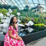 Aashika Padukone Instagram – Finding solace amidst nature’s embrace🌸

#travelgram #singapore #wanderlust Gardens By the Bay, Singapore
