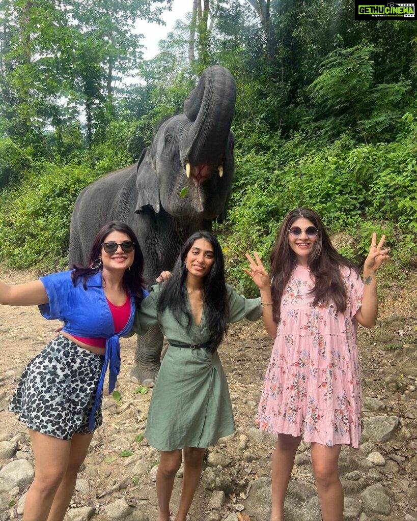Aathmika Instagram - Travel is about finding those things you never knew you were looking far!! Play date with elephants in Thailand is by far the best memories. Thanks to my sister who insisted on this check list. The second best thing is Thai food especially Thai coconut based desserts , being lactose intolerant Thai food is heaven. Meeting local people, rides on the ferry and walking down the streets with laid back attitude is my vacation. I got to experience a different kinda Thailand this time, thanks to @touronholidays for organising this so efficiently. Where can I plan my next trip to ???