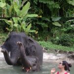 Aathmika Instagram - Travel is about finding those things you never knew you were looking far!! Play date with elephants in Thailand is by far the best memories. Thanks to my sister who insisted on this check list. The second best thing is Thai food especially Thai coconut based desserts , being lactose intolerant Thai food is heaven. Meeting local people, rides on the ferry and walking down the streets with laid back attitude is my vacation. I got to experience a different kinda Thailand this time, thanks to @touronholidays for organising this so efficiently. Where can I plan my next trip to ???