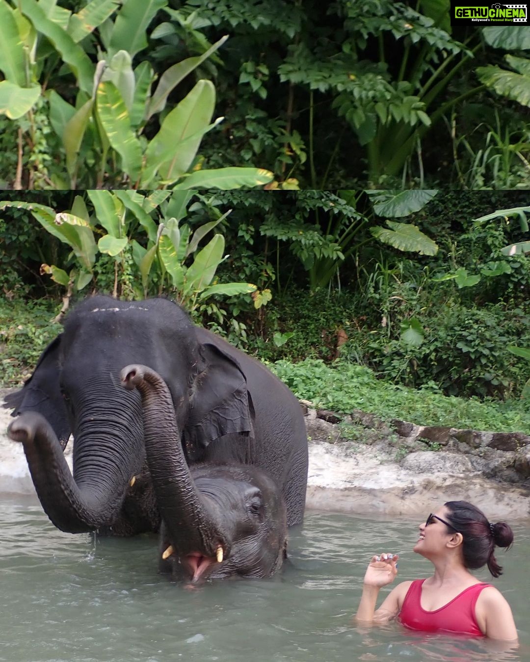 Aathmika Instagram - Travel is about finding those things you never knew you were looking far!! Play date with elephants in Thailand is by far the best memories. Thanks to my sister who insisted on this check list. The second best thing is Thai food especially Thai coconut based desserts , being lactose intolerant Thai food is heaven. Meeting local people, rides on the ferry and walking down the streets with laid back attitude is my vacation. I got to experience a different kinda Thailand this time, thanks to @touronholidays for organising this so efficiently. Where can I plan my next trip to ???
