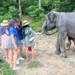 Aathmika Instagram - Travel is about finding those things you never knew you were looking far!! Play date with elephants in Thailand is by far the best memories. Thanks to my sister who insisted on this check list. The second best thing is Thai food especially Thai coconut based desserts , being lactose intolerant Thai food is heaven. Meeting local people, rides on the ferry and walking down the streets with laid back attitude is my vacation. I got to experience a different kinda Thailand this time, thanks to @touronholidays for organising this so efficiently. Where can I plan my next trip to ???