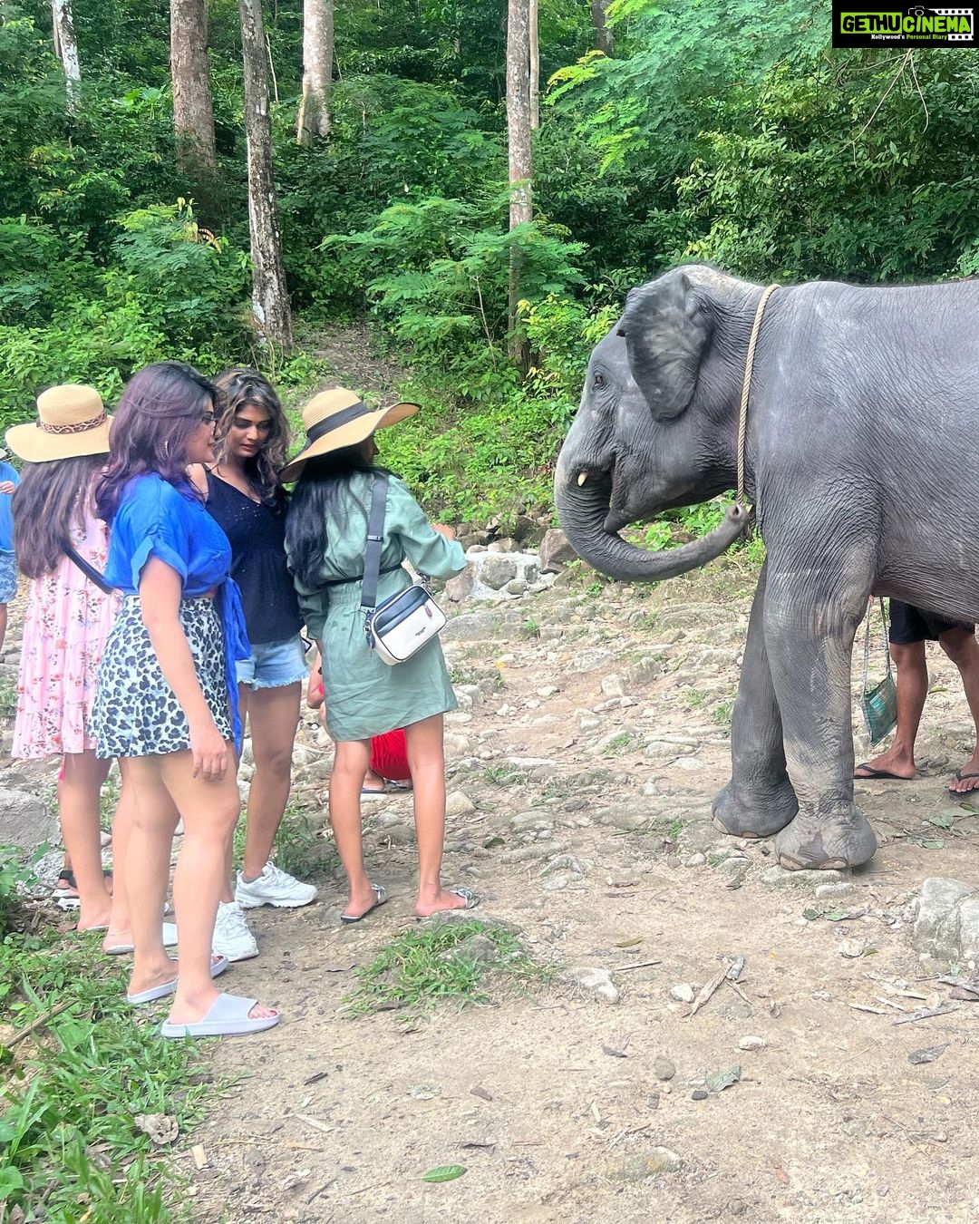Aathmika Instagram - Travel is about finding those things you never knew you were looking far!! Play date with elephants in Thailand is by far the best memories. Thanks to my sister who insisted on this check list. The second best thing is Thai food especially Thai coconut based desserts , being lactose intolerant Thai food is heaven. Meeting local people, rides on the ferry and walking down the streets with laid back attitude is my vacation. I got to experience a different kinda Thailand this time, thanks to @touronholidays for organising this so efficiently. Where can I plan my next trip to ???