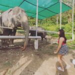 Aathmika Instagram - Travel is about finding those things you never knew you were looking far!! Play date with elephants in Thailand is by far the best memories. Thanks to my sister who insisted on this check list. The second best thing is Thai food especially Thai coconut based desserts , being lactose intolerant Thai food is heaven. Meeting local people, rides on the ferry and walking down the streets with laid back attitude is my vacation. I got to experience a different kinda Thailand this time, thanks to @touronholidays for organising this so efficiently. Where can I plan my next trip to ???