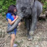 Aathmika Instagram - Travel is about finding those things you never knew you were looking far!! Play date with elephants in Thailand is by far the best memories. Thanks to my sister who insisted on this check list. The second best thing is Thai food especially Thai coconut based desserts , being lactose intolerant Thai food is heaven. Meeting local people, rides on the ferry and walking down the streets with laid back attitude is my vacation. I got to experience a different kinda Thailand this time, thanks to @touronholidays for organising this so efficiently. Where can I plan my next trip to ???