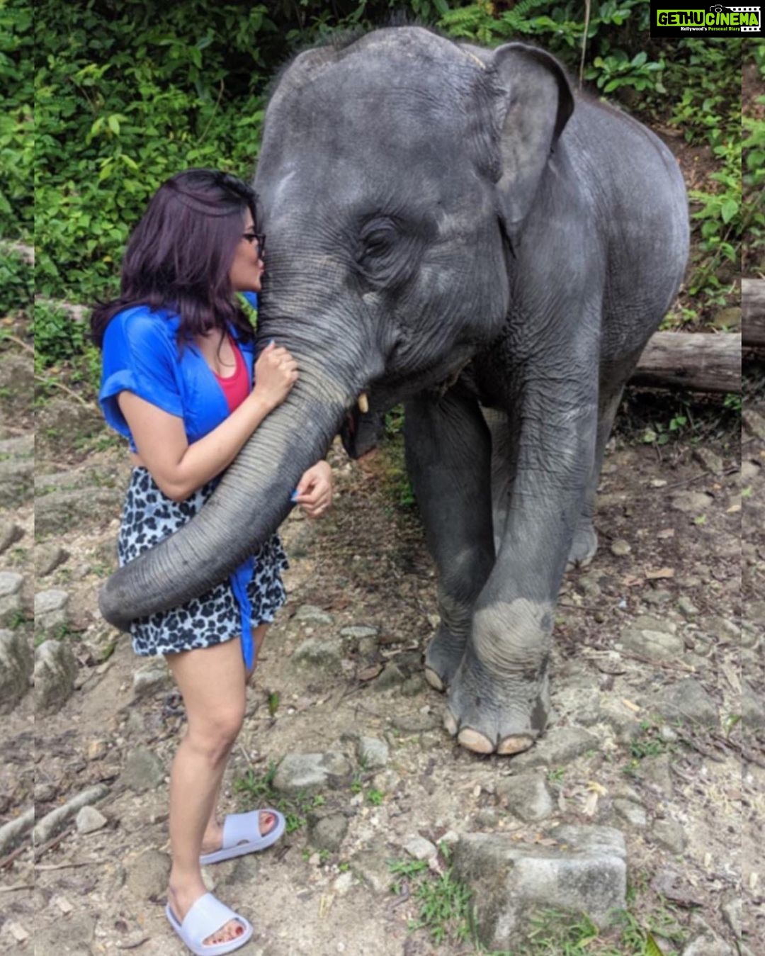 Aathmika Instagram - Travel is about finding those things you never knew you were looking far!! Play date with elephants in Thailand is by far the best memories. Thanks to my sister who insisted on this check list. The second best thing is Thai food especially Thai coconut based desserts , being lactose intolerant Thai food is heaven. Meeting local people, rides on the ferry and walking down the streets with laid back attitude is my vacation. I got to experience a different kinda Thailand this time, thanks to @touronholidays for organising this so efficiently. Where can I plan my next trip to ???