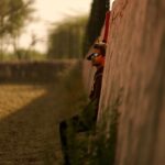 Abijeet Duddala Instagram - Don't talk about it, do it.. Jaipur, Rajasthan