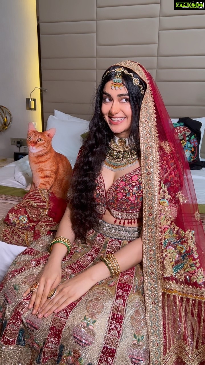 Adah Sharma Instagram - Saying NO to guess what on the cover of @weddingaffairofficial #behindthescenes #StarKidRadhaSharma ❤️#radhasekoikaisenajale #radhaissotalented #100yearsofadahsharma #adahsharma #starkid #weightloss #comedy #RavivaarWithRadha #bollywood #wedding #weddingdress #lehenga