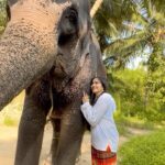 Adah Sharma Instagram – #TheKeralaStory actress Adah Sharma celebrating with her friend Kumari 

@adah_ki_adah 

#adahsharma #adahkiadah #adah_ki_adah #adah_sharma #elephantlove #elephants