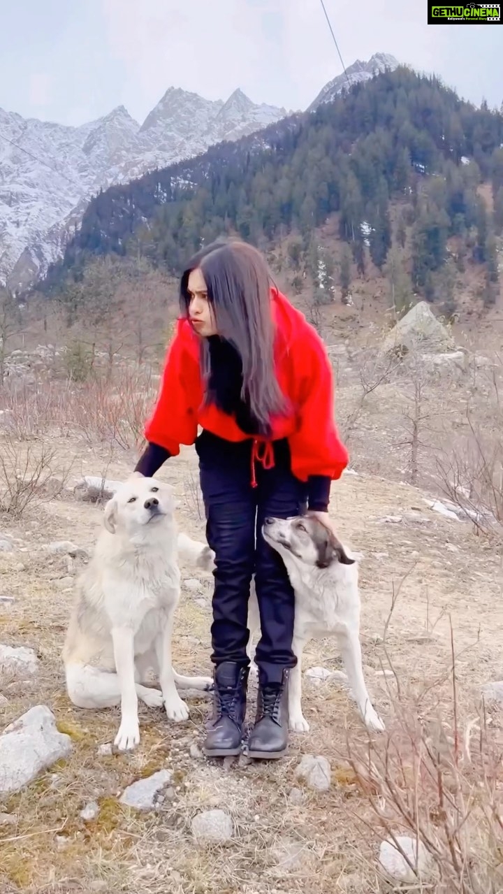 Adah Sharma Instagram - The Indian film industry is a very supportive place… I make friends on each set I shoot on 🤓❤️What I do in the lunch break during shoots 🐘🦍🐶🐕 and see these helpful fellows on set.. our local tour guides … this is for a project that will release in the next few months🧞♀️#100YearsOfAdahSharma #adahsharma #WelcomeToTheAdahVerse
