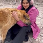 Adah Sharma Instagram – Behind the scenes :Woh scene yaad hai in #TheKeralaStory ? When ishaak picks up the pathar to hit me? This doggie was watching the whole scene and came to check up on me after .vid mein Main usko bata Rahi hu my woes on screen (being pregnant,stuck in a horrid place without a mobile phone) and off screen (all the crying my eye was hurting , had a headache and the pregnant waala prosthetic stomach was so heavy,legs were tired walking) and i got a hug 😱😱😱😱😍😍😍 how different species can also connect ❤️❤️ If you scroll on my feed aapko photo milega of me showing the doggie my elephant ka videos 🐘❤️#adahsharma