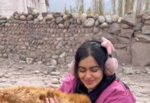 Adah Sharma Instagram - Behind the scenes :Woh scene yaad hai in #TheKeralaStory ? When ishaak picks up the pathar to hit me? This doggie was watching the whole scene and came to check up on me after .vid mein Main usko bata Rahi hu my woes on screen (being pregnant,stuck in a horrid place without a mobile phone) and off screen (all the crying my eye was hurting , had a headache and the pregnant waala prosthetic stomach was so heavy,legs were tired walking) and i got a hug 😱😱😱😱😍😍😍 how different species can also connect ❤️❤️ If you scroll on my feed aapko photo milega of me showing the doggie my elephant ka videos 🐘❤️#adahsharma