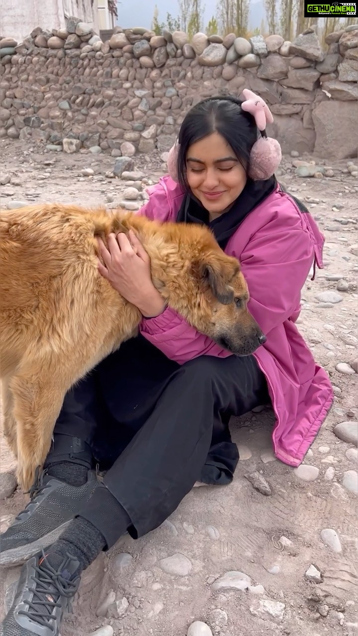 Adah Sharma - 1.3 Million Likes - Behind the scenes :Woh scene yaad hai in #TheKeralaStory ? When ishaak picks up the pathar to hit me? This doggie was watching the whole scene and came to check up on me after .vid mein Main usko bata Rahi hu my woes on screen (being pregnant,stuck in a horrid place without a mobile phone) and off screen (all the crying my eye was hurting , had a headache and the pregnant waala prosthetic stomach was so heavy,legs were tired walking) and i got a hug 😱😱😱😱😍😍😍 how different species can also connect ❤️❤️ If you scroll on my feed aapko photo milega of me showing the doggie my elephant ka videos 🐘❤️#adahsharma