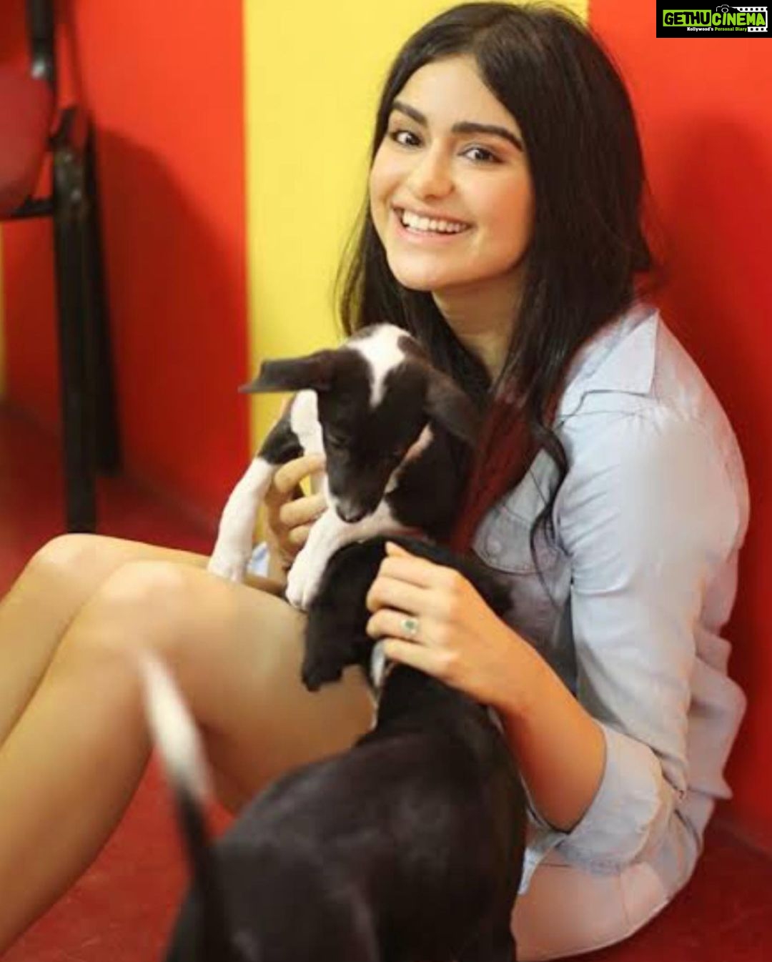 Adah Sharma Instagram - Happy brides are the…..? P.S. my insta my rules … Swipe to see some Celebrities I met 😍 #celebSpotting ………… Runaway bride Fresh from the success of the highest female grossing film of all time #TheKeralaStory actress Adah Sharma turns covergirl for this month's @weddingaffairofficial international addition Magazine: Wedding Affair @weddingaffairofficial Cover Star: Adah Sharma @adah_ki_adah Photographer: @zackfenwick23 Stylist: @juhi.ali Make-up: @kanika_arrora Hair: @snehal_uk Outfit: @raagwaas Jewellery: @tadaccessories, @rubans.in, @pinklanebyrashi, @viviniabyvidhimehra Location: @hotel_saharastar Publicist : @shimmerentertainment Artist manager : @asira.09 Co-ordinated by: @nadiiaamalik