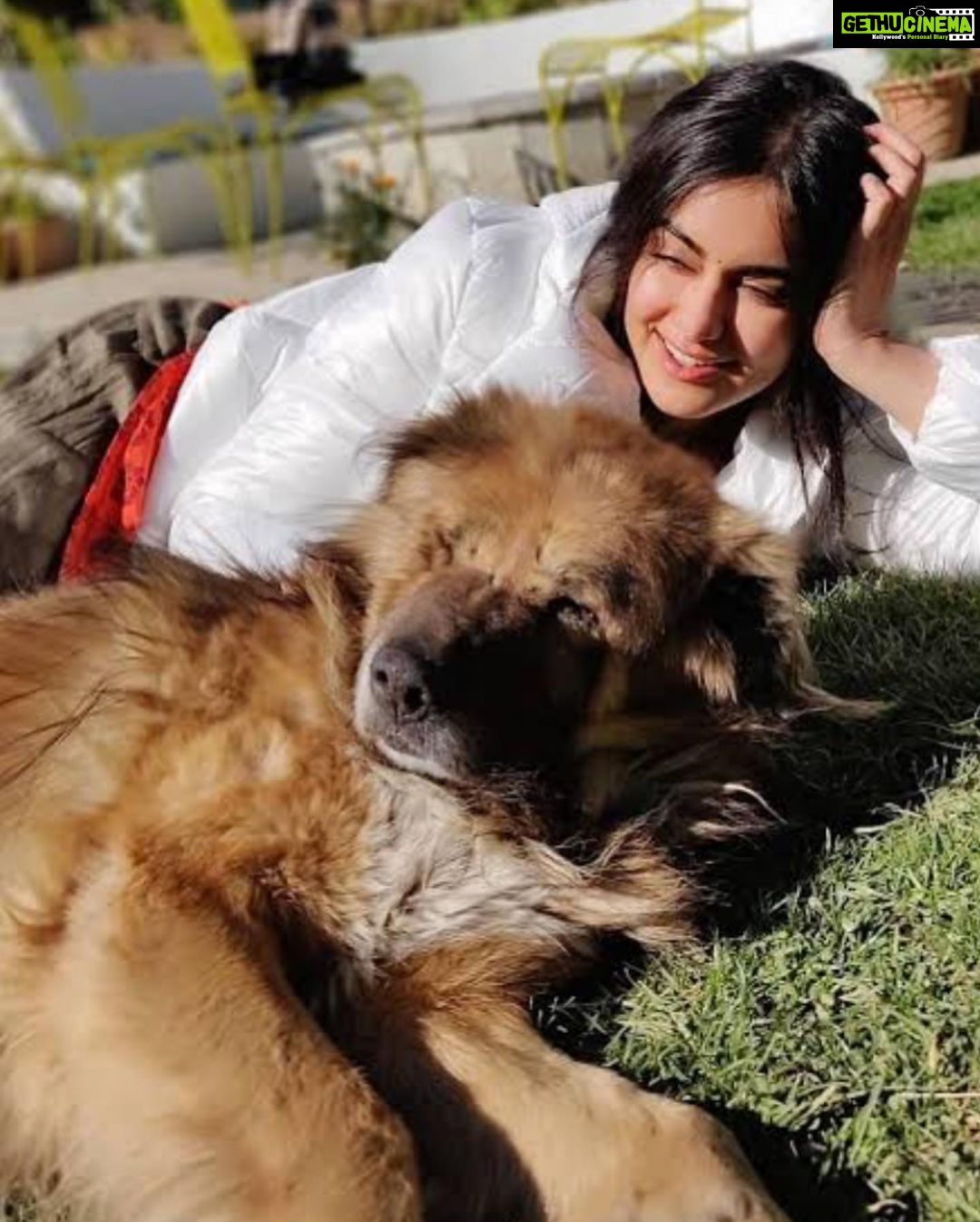 Adah Sharma Instagram - Happy brides are the…..? P.S. my insta my rules … Swipe to see some Celebrities I met 😍 #celebSpotting ………… Runaway bride Fresh from the success of the highest female grossing film of all time #TheKeralaStory actress Adah Sharma turns covergirl for this month's @weddingaffairofficial international addition Magazine: Wedding Affair @weddingaffairofficial Cover Star: Adah Sharma @adah_ki_adah Photographer: @zackfenwick23 Stylist: @juhi.ali Make-up: @kanika_arrora Hair: @snehal_uk Outfit: @raagwaas Jewellery: @tadaccessories, @rubans.in, @pinklanebyrashi, @viviniabyvidhimehra Location: @hotel_saharastar Publicist : @shimmerentertainment Artist manager : @asira.09 Co-ordinated by: @nadiiaamalik