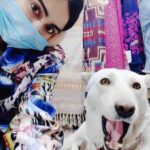 Adah Sharma Instagram - Happy brides are the…..? P.S. my insta my rules … Swipe to see some Celebrities I met 😍 #celebSpotting ………… Runaway bride Fresh from the success of the highest female grossing film of all time #TheKeralaStory actress Adah Sharma turns covergirl for this month's @weddingaffairofficial international addition Magazine: Wedding Affair @weddingaffairofficial Cover Star: Adah Sharma @adah_ki_adah Photographer: @zackfenwick23 Stylist: @juhi.ali Make-up: @kanika_arrora Hair: @snehal_uk Outfit: @raagwaas Jewellery: @tadaccessories, @rubans.in, @pinklanebyrashi, @viviniabyvidhimehra Location: @hotel_saharastar Publicist : @shimmerentertainment Artist manager : @asira.09 Co-ordinated by: @nadiiaamalik