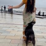 Adah Sharma Instagram - Tell me you love my handloom saree without telling me you love my handloom saree 🤣❤️ Adah Sharma massage services for crows, mammals and reptiles now branching out into providing humans dressed up in beautiful handloom sarees during the monsoons for stray animals . I am the tester model here . If it’s a HIT will appoint more human standees 🤡❤️ #handloomsaree #handloom #handloomday