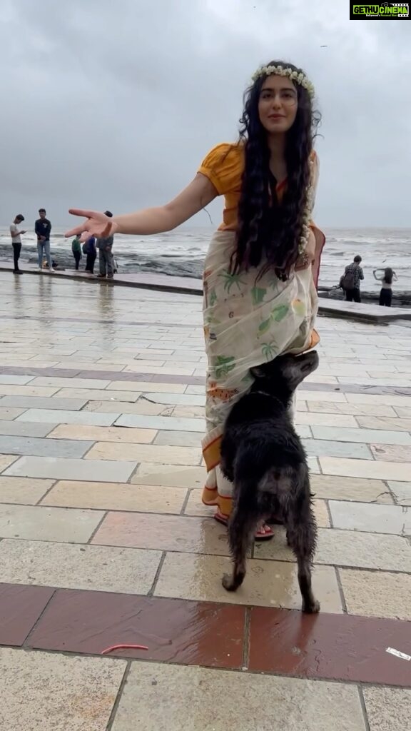 Adah Sharma Instagram - Tell me you love my handloom saree without telling me you love my handloom saree 🤣❤️ Adah Sharma massage services for crows, mammals and reptiles now branching out into providing humans dressed up in beautiful handloom sarees during the monsoons for stray animals . I am the tester model here . If it’s a HIT will appoint more human standees 🤡❤️ #handloomsaree #handloom #handloomday