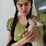 Adah Sharma Instagram - Shalini Unnikrishnan ki Adah 🐕🐶🐾❤️ Meet her in theatres on 5th May #TheKeralaStory #100YearsOfAdahSharma #adahsharma #puppylove #puppiesofinstagram