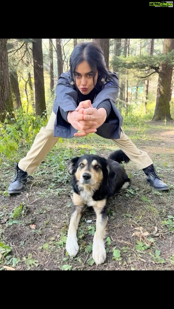 Adah Sharma Instagram - Happy Friendship day.. friendship day is so special for me because .......it’s such a Wonderful excuse to put another dog video on social media 🤣🤣🤣Some friends just want to do everything together. This doggie became my friend wanted to do all the action I was doing and be in all the shots but also he didn’t want to do mehnat he would like to be in the shot while getting belly rubs 🤣🤣🤣🤣 We took turns to dedicate one person to give him belly rubs all day.(i was also on rotation duty when it wasn’t my shot) Got to work on a set where animals were as important (if not more) and given more ladh pyaar than the hero and heroine. Best shoot everrrr 😍 #iLovePattis #PattiAsinDogInTamilDidAnyoneGetit