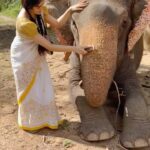Adah Sharma Instagram - Sunday is Spa day 🐘🧖‍♀️❤️ You see the bump on this beautys head ? Woh elephant rides karti thi and her scull is cracked maar maar ke by some human💔😢 but she’s still being so sweet to me #100YearsOfAdahSharma #adahsharma #elephant #elephants #WelcomeToTheAdahVerse
