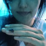 Adah Sharma Instagram - Par kuch log bhi poisonous ho sakte hai 🐍❤️ #AdahKaKeeda waala post kaafi time baad #ZehreelaLekinKaafiCuteHaiYehBug #hospitalSceneMeinDekhoKaunVisitorAayaSetPe #dekhokaunaaya #100YearsOfAdahSharma #adahsharma