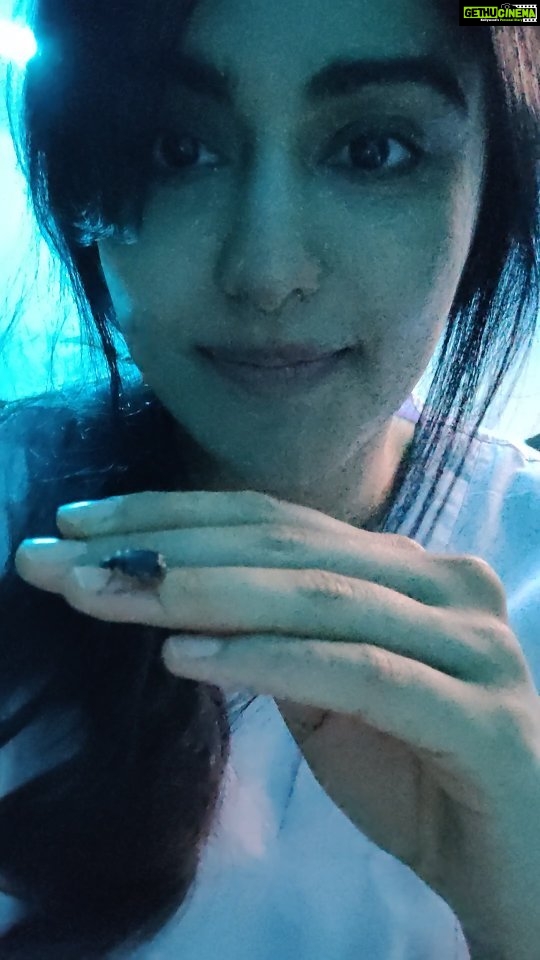 Adah Sharma Instagram - Par kuch log bhi poisonous ho sakte hai 🐍❤️ #AdahKaKeeda waala post kaafi time baad #ZehreelaLekinKaafiCuteHaiYehBug #hospitalSceneMeinDekhoKaunVisitorAayaSetPe #dekhokaunaaya #100YearsOfAdahSharma #adahsharma
