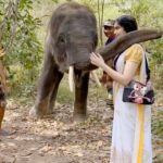 Adah Sharma Instagram - How many hugs are too many hugs 🤗 🐘 Frankie is a rescue baby … he has gone through years of trauma 💔 but he still gave me some hugs . He isn’t trained to do tricks n all Haan btw. His way of showing love is doing this or smacking you on the head (which he also did ouch) love that no sticks are used here . Elephants are really sensitive animals and very very intuitive. #elephants #elephant #100YearsOfAdahSharma #adahsharma