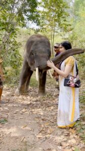 Adah Sharma Instagram - How many hugs are too many hugs 🤗 🐘 Frankie is a rescue baby … he has gone through years of trauma 💔 but he still gave me some hugs . He isn’t trained to do tricks n all Haan btw. His way of showing love is doing this or smacking you on the head (which he also did ouch) love that no sticks are used here . Elephants are really sensitive animals and very very intuitive. #elephants #elephant #100YearsOfAdahSharma #adahsharma