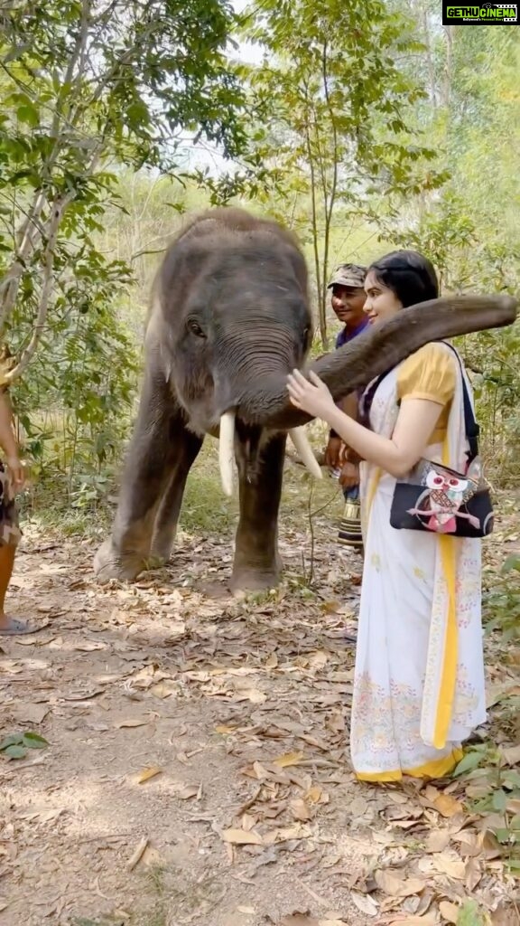 Adah Sharma Instagram - How many hugs are too many hugs 🤗 🐘 Frankie is a rescue baby … he has gone through years of trauma 💔 but he still gave me some hugs . He isn’t trained to do tricks n all Haan btw. His way of showing love is doing this or smacking you on the head (which he also did ouch) love that no sticks are used here . Elephants are really sensitive animals and very very intuitive. #elephants #elephant #100YearsOfAdahSharma #adahsharma