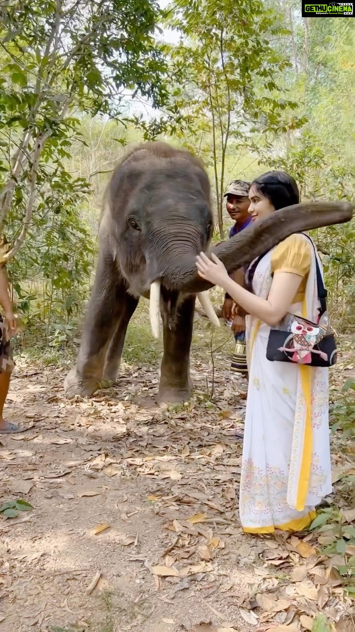 Adah Sharma - 844.4K Likes - How many hugs are too many hugs 🤗 🐘
Frankie is a rescue baby … he has gone through years of trauma 💔 but he still gave me some hugs . He isn’t trained to do tricks n all Haan btw. His way of showing love is doing this or smacking you on the head (which he also did ouch) love that no sticks are used here . Elephants are really sensitive animals and very very intuitive. #elephants #elephant
#100YearsOfAdahSharma #adahsharma