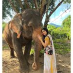 Adah Sharma Instagram - Badhai ho to you ,to all of us.. #TheKeralaStory success is all yours ❤️ Soon in West Bengal ❤️ (hopefully) and now released internationally (in the UK As well finalllyy) We are grateful for such an amazing response, for the #TheKeralaStory . Dreaming is everyone's birthright. I hope my story can be a story of hope for every actor stepping foot into the film industry that they can be part of something historic ❤️ #VipulAmrutlalShah @sudipto_sen @aashin_shah @sunshinepicturesofficial @adah_ki_adah @iyogitabihani @soniabalani9 @siddhi_idnani @aka.vijaykrishna @pranaypachauri @pranavmisshra #SunshinePictures #SaveOurDaughters