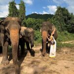 Adah Sharma Instagram - Badey Badey junglon ki hum Chotey Chotey logon se aap Badey badey Dilwaano ko Dhanyavaad , humaari Choti choti ashaon ko bada bada karne ke liye #TheKeralaStory releasing tomorrow ❤️ . . #elephant #Thankyousoooomuchallofyouuu #100YearsOfAdahSharma #adahsharma