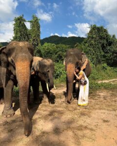 Adah Sharma Instagram - Badey Badey junglon ki hum Chotey Chotey logon se aap 
Badey badey Dilwaano ko Dhanyavaad , humaari Choti choti ashaon ko bada bada karne ke liye #TheKeralaStory releasing tomorrow ❤️
.
.
#elephant #Thankyousoooomuchallofyouuu 
#100YearsOfAdahSharma #adahsharma