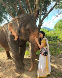 Adah Sharma Instagram - Badey Badey junglon ki hum Chotey Chotey logon se aap 
Badey badey Dilwaano ko Dhanyavaad , humaari Choti choti ashaon ko bada bada karne ke liye #TheKeralaStory releasing tomorrow ❤️
.
.
#elephant #Thankyousoooomuchallofyouuu 
#100YearsOfAdahSharma #adahsharma