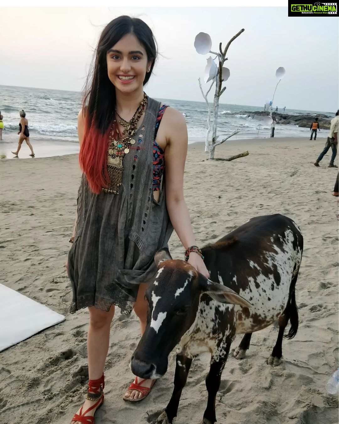 Adah Sharma Instagram - Photographic evidence of me flirting with गाय 's on set .... Also itnaaa bada smile n all I don't do unless I'm around my kinda guys 😁🤓 #100YearsOfAdahSharma #adahsharma #cow #cowgirl #calf #socutebabycalf