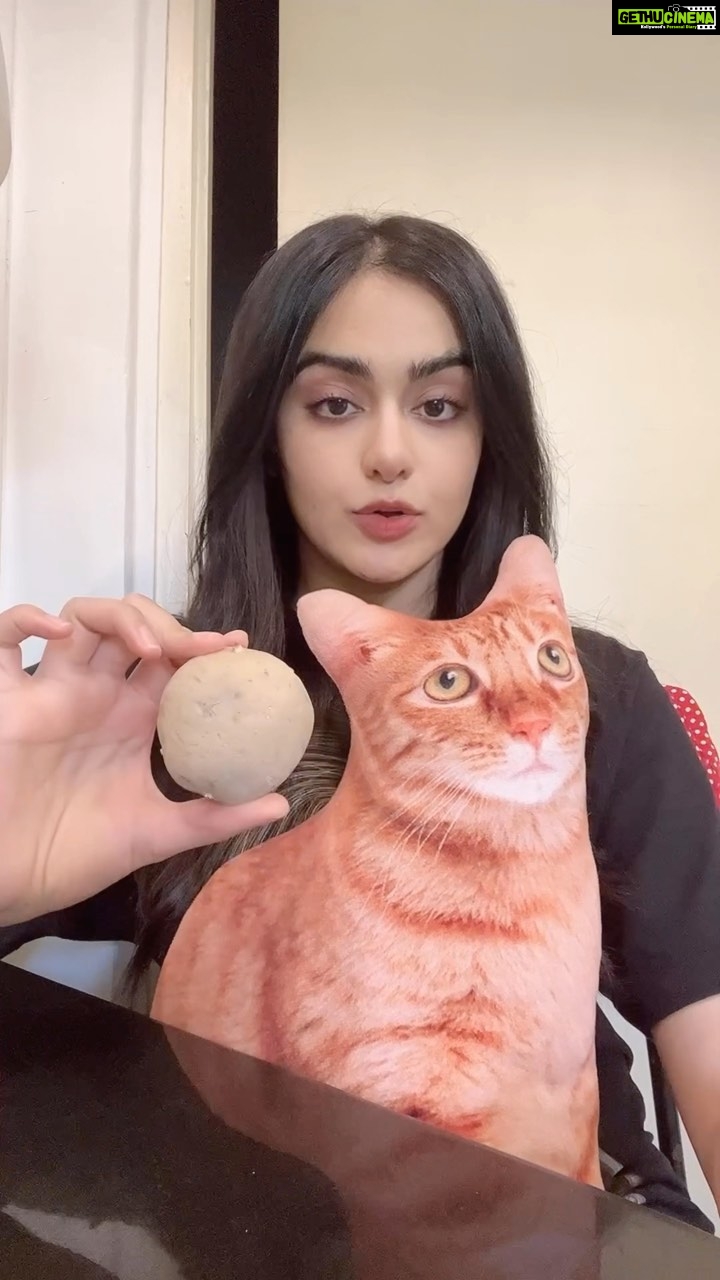 Adah Sharma Instagram - A potato is not sharp #RavivaarWithRadha #StarKidRadhaSharma #radhasekoikaisenajale #radhaissotalented #100yearsofadahsharma #adahsharma #starkid #weightloss #comedy #scary